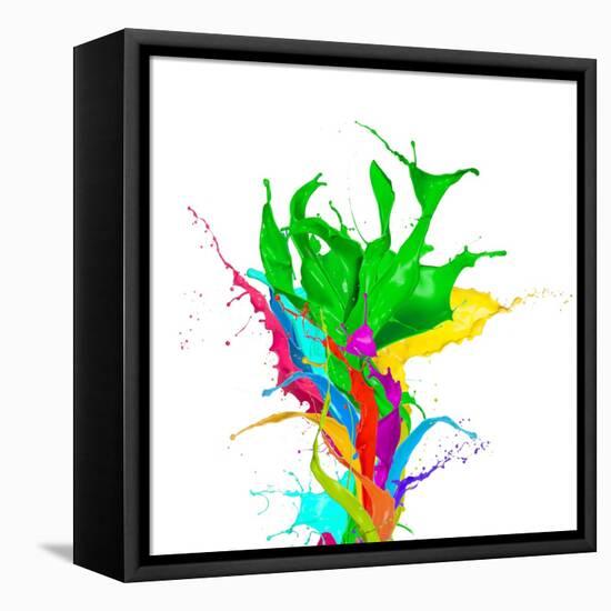 Colored Paint Splashes Bouquet Isolated On White Background-Jag_cz-Framed Stretched Canvas