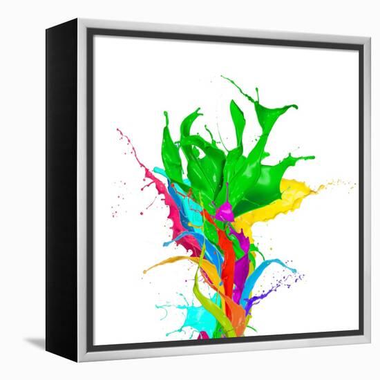 Colored Paint Splashes Bouquet Isolated On White Background-Jag_cz-Framed Stretched Canvas