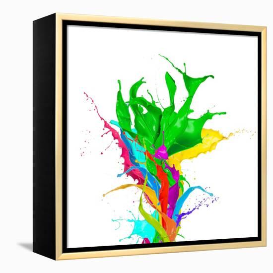 Colored Paint Splashes Bouquet Isolated On White Background-Jag_cz-Framed Stretched Canvas