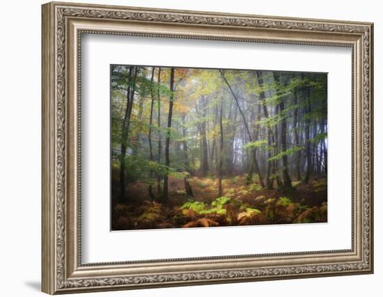 Colored Rain in Deep Forest-Philippe Manguin-Framed Photographic Print