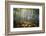Colored Rain in Deep Forest-Philippe Manguin-Framed Photographic Print