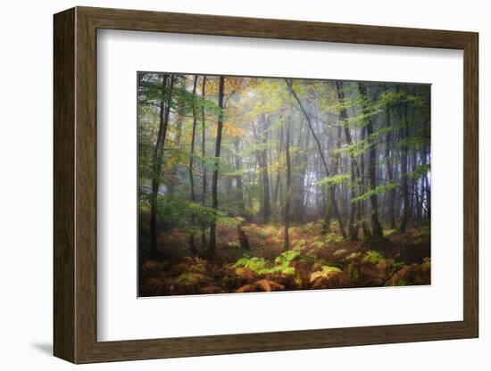 Colored Rain in Deep Forest-Philippe Manguin-Framed Photographic Print