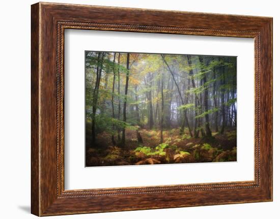 Colored Rain in Deep Forest-Philippe Manguin-Framed Photographic Print