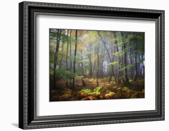 Colored Rain in Deep Forest-Philippe Manguin-Framed Photographic Print