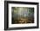 Colored Rain in Deep Forest-Philippe Manguin-Framed Photographic Print