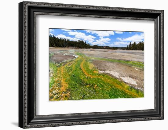 Colored Thermophilic Bacteria in Yellowstone National Park-James White-Framed Photographic Print