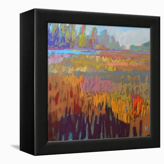 Colorfield XXII-Jane Schmidt-Framed Stretched Canvas