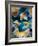 ColorFish-Marcel Egger-Framed Photographic Print