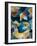 ColorFish-Marcel Egger-Framed Photographic Print