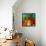 Colorful Abstract 41-Howie Green-Framed Stretched Canvas displayed on a wall