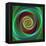 Colorful Abstract Geometric Spiral Design Background-David Zydd-Framed Premier Image Canvas