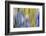 Colorful abstract impressions of water and reflections.-Brent Bergherm-Framed Photographic Print