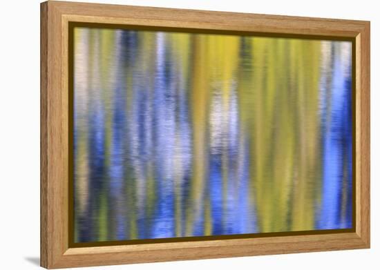 Colorful abstract impressions of water and reflections.-Brent Bergherm-Framed Premier Image Canvas