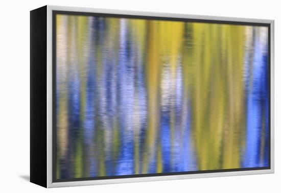 Colorful abstract impressions of water and reflections.-Brent Bergherm-Framed Premier Image Canvas
