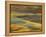 Colorful Abstract of Autumn Tundra Colors, Denali National Park, Alaska, USA-Arthur Morris-Framed Premier Image Canvas