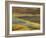 Colorful Abstract of Autumn Tundra Colors, Denali National Park, Alaska, USA-Arthur Morris-Framed Photographic Print