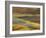 Colorful Abstract of Autumn Tundra Colors, Denali National Park, Alaska, USA-Arthur Morris-Framed Photographic Print