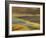 Colorful Abstract of Autumn Tundra Colors, Denali National Park, Alaska, USA-Arthur Morris-Framed Photographic Print