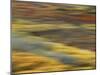 Colorful Abstract of Autumn Tundra Colors, Denali National Park, Alaska, USA-Arthur Morris-Mounted Photographic Print