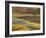 Colorful Abstract of Autumn Tundra Colors, Denali National Park, Alaska, USA-Arthur Morris-Framed Photographic Print