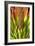 Colorful Agave I-Douglas Taylor-Framed Photographic Print