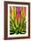 Colorful Agave II-Douglas Taylor-Framed Photographic Print