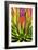 Colorful Agave II-Douglas Taylor-Framed Photographic Print