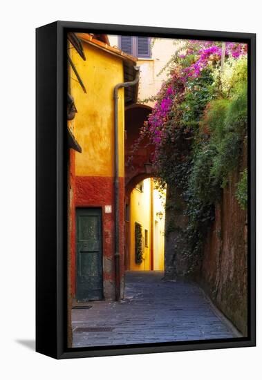 Colorful Alley in Portofino-George Oze-Framed Premier Image Canvas