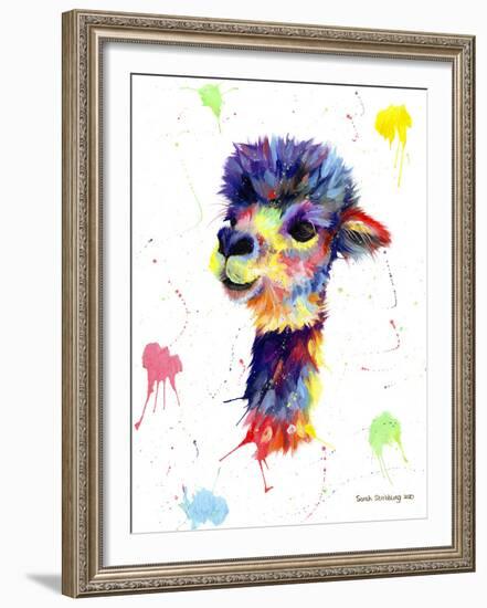 Colorful Alpaca-Sarah Stribbling-Framed Giclee Print