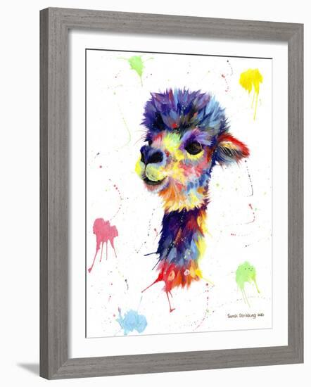 Colorful Alpaca-Sarah Stribbling-Framed Giclee Print