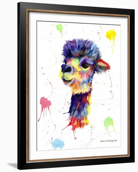 Colorful Alpaca-Sarah Stribbling-Framed Giclee Print