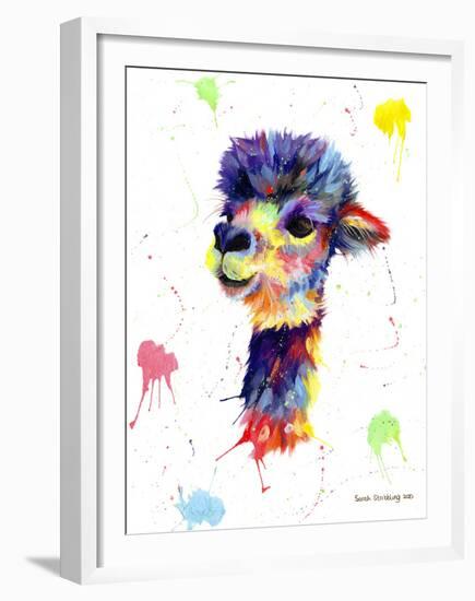 Colorful Alpaca-Sarah Stribbling-Framed Giclee Print