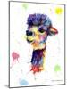 Colorful Alpaca-Sarah Stribbling-Mounted Giclee Print