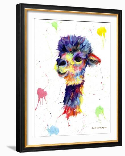 Colorful Alpaca-Sarah Stribbling-Framed Giclee Print