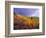 Colorful Aspens in Logan Canyon, Utah, USA-Julie Eggers-Framed Photographic Print