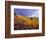 Colorful Aspens in Logan Canyon, Utah, USA-Julie Eggers-Framed Photographic Print