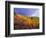 Colorful Aspens in Logan Canyon, Utah, USA-Julie Eggers-Framed Photographic Print