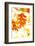 Colorful Autumn Leaves-soupstock-Framed Photographic Print