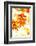 Colorful Autumn Leaves-soupstock-Framed Photographic Print