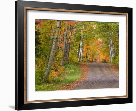 Colorful Autumn Trees, Keweenaw Penninsula, Michigan, USA-Chuck Haney-Framed Photographic Print
