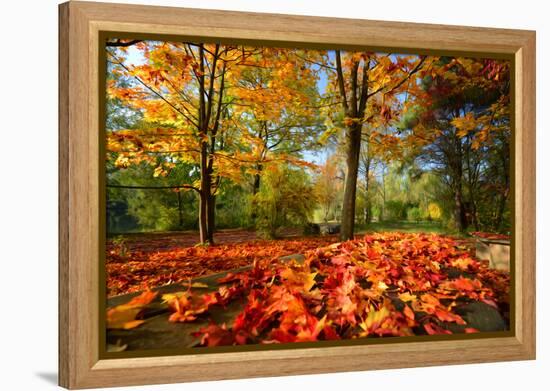 Colorful Autumn-Philippe Sainte-Laudy-Framed Premier Image Canvas