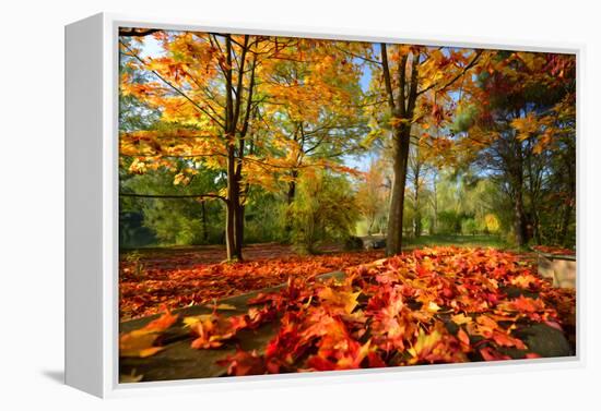 Colorful Autumn-Philippe Sainte-Laudy-Framed Premier Image Canvas