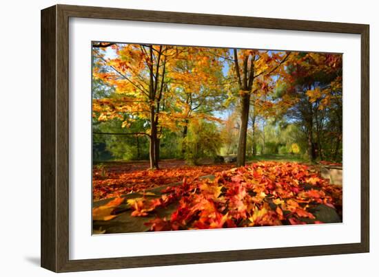 Colorful Autumn-Philippe Sainte-Laudy-Framed Photographic Print