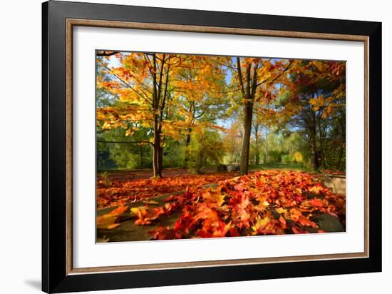 Colorful Autumn-Philippe Sainte-Laudy-Framed Photographic Print