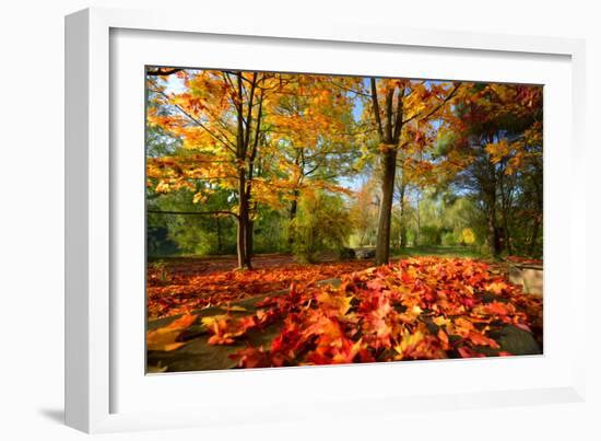 Colorful Autumn-Philippe Sainte-Laudy-Framed Photographic Print