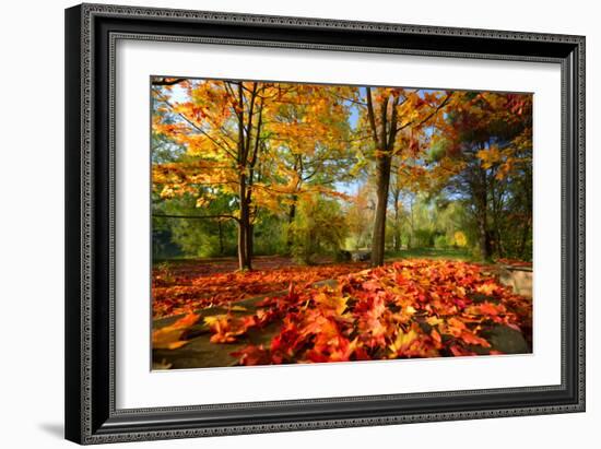 Colorful Autumn-Philippe Sainte-Laudy-Framed Photographic Print