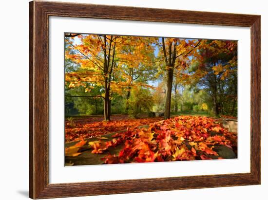 Colorful Autumn-Philippe Sainte-Laudy-Framed Photographic Print