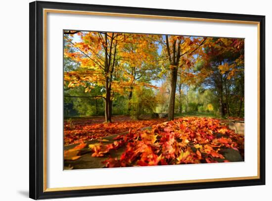 Colorful Autumn-Philippe Sainte-Laudy-Framed Photographic Print
