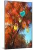 Colorful Balloons on Autumn Forest Background,Digital Painting-Tithi Luadthong-Mounted Art Print
