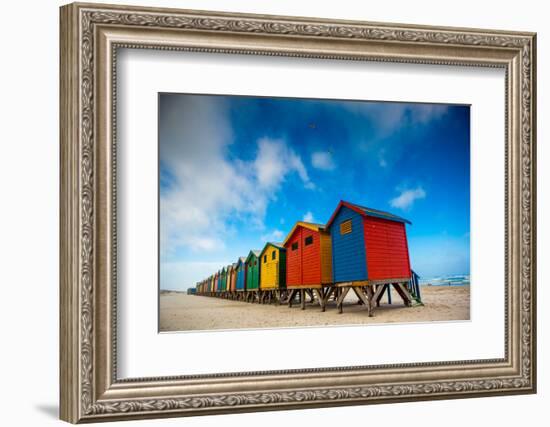 Colorful Beach Shacks, Muizenberg Beach, Cape Town, South Africa, Africa-Laura Grier-Framed Photographic Print